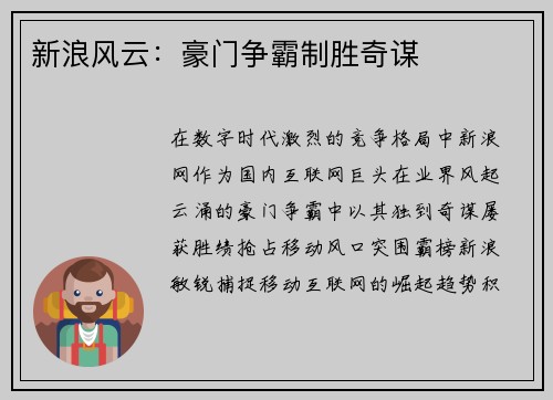 新浪风云：豪门争霸制胜奇谋